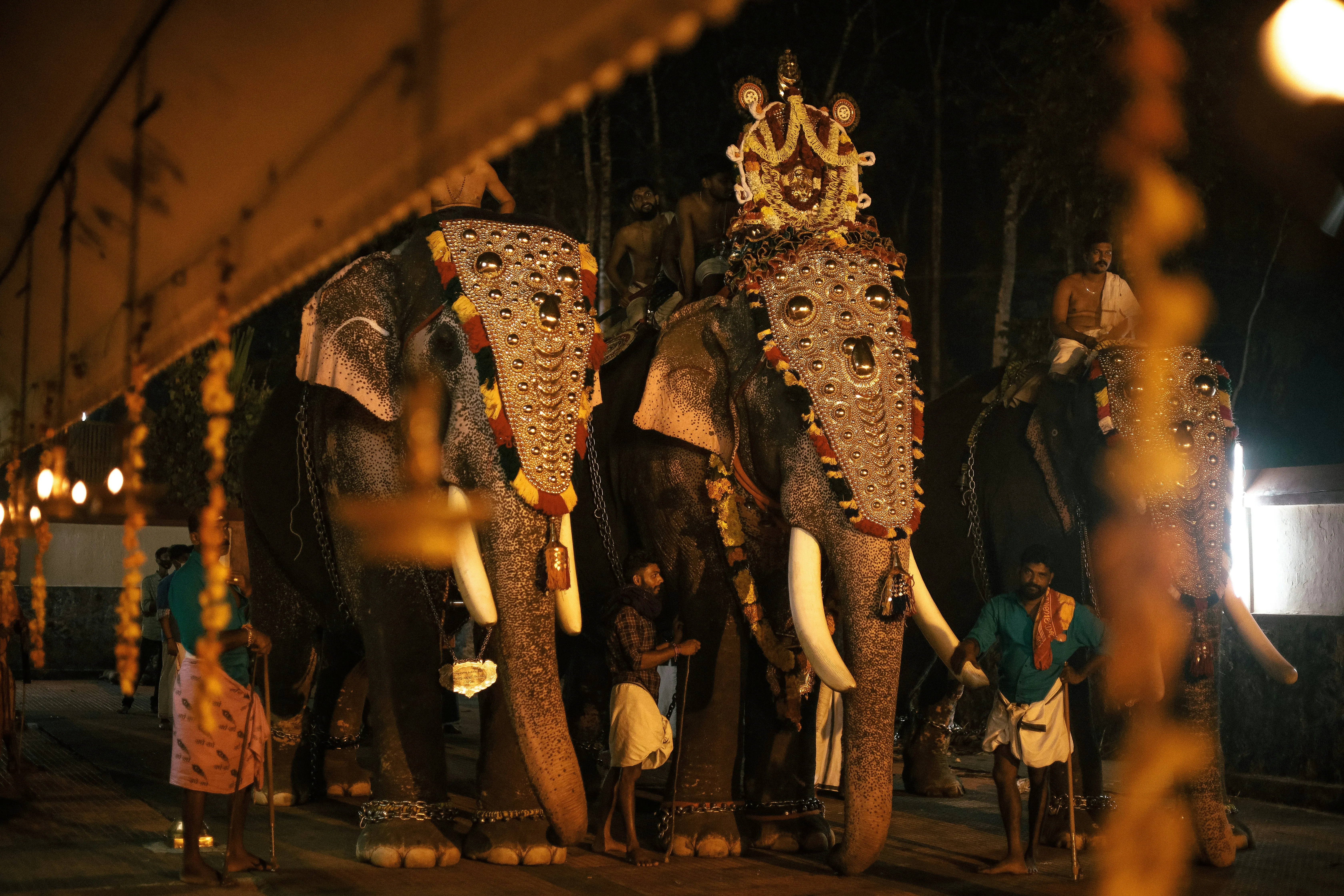 Kerala Travel Guide