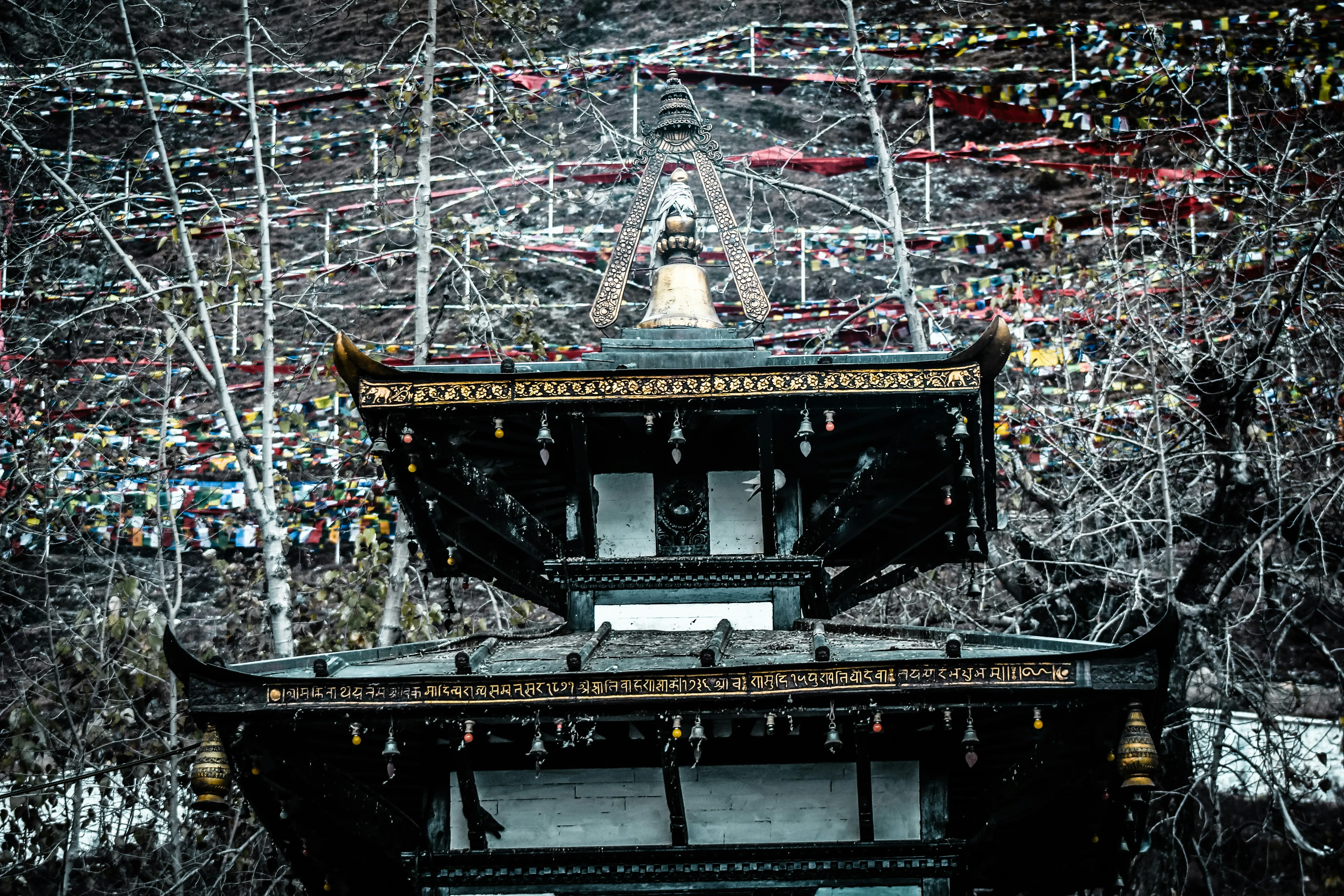 Muktinath Yatra