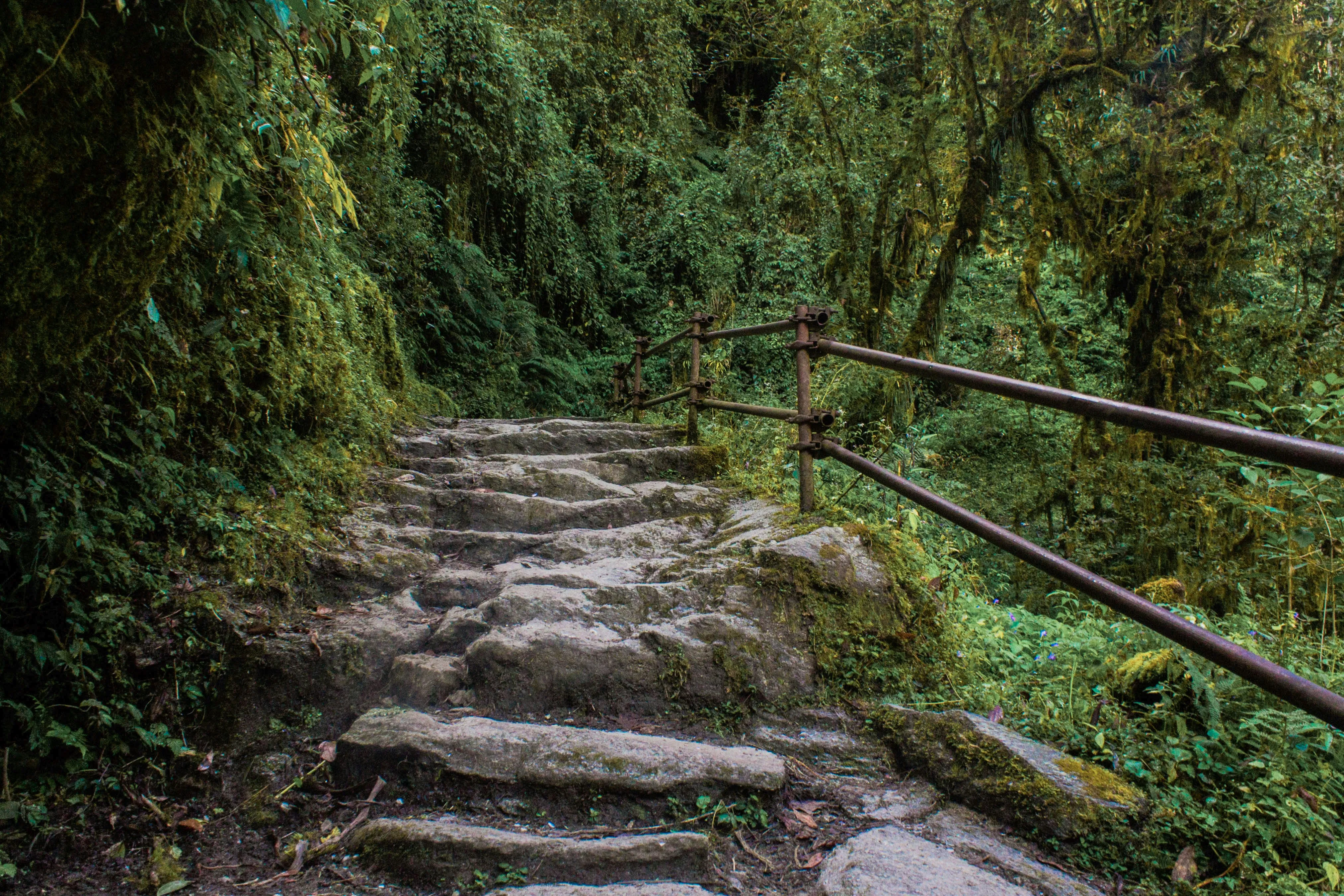 Top 10 Himalayan Treks